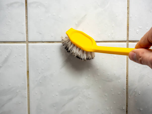 Best Affordable Mold Removal  in Russell Springs, KY