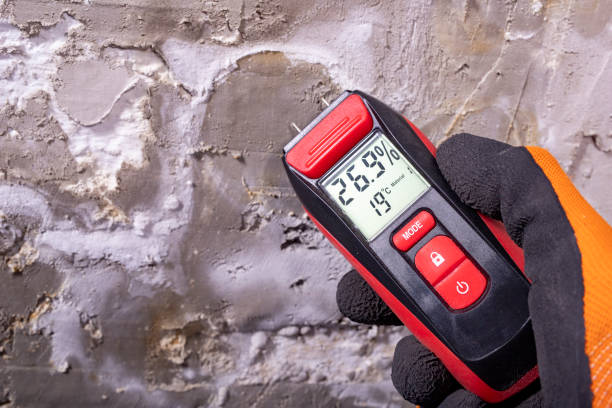 Best Home Mold Removal  in Russell Springs, KY