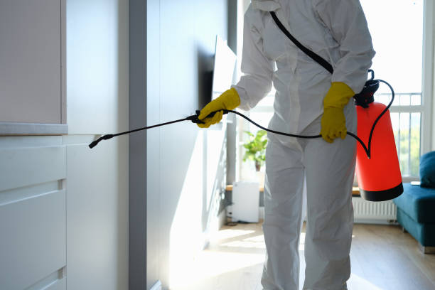 Best Office Mold Removal Services  in Russell Springs, KY