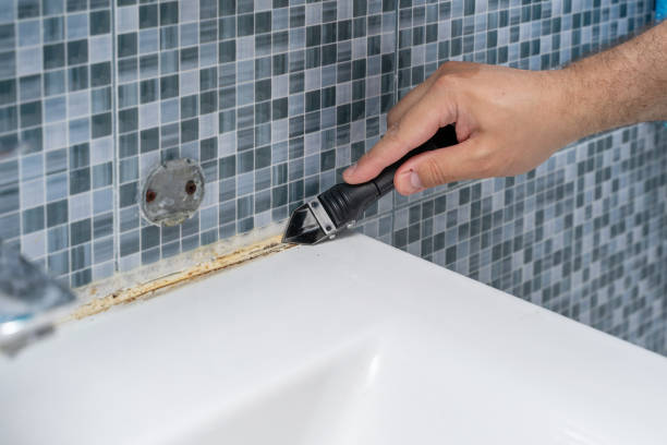 Best Black Mold Removal  in Russell Springs, KY