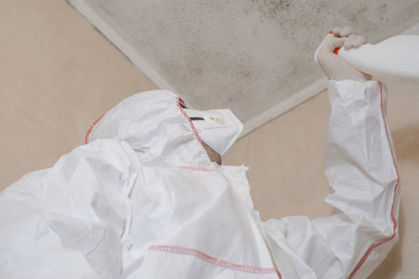 Home Mold Removal in Russell Springs, KY