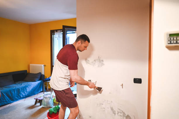 Best Same-Day Mold Removal  in Russell Springs, KY