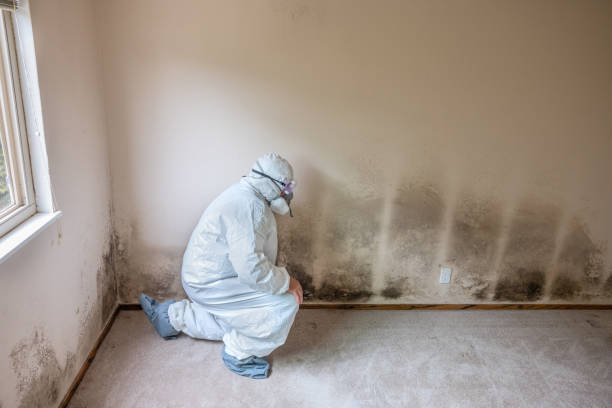 Best Crawl Space Mold Removal  in Russell Springs, KY